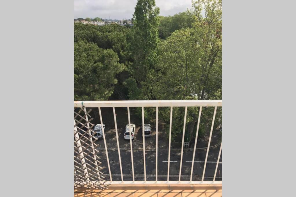 Bel Appartement Avec Vue Et Parking Prive Beziers Luaran gambar
